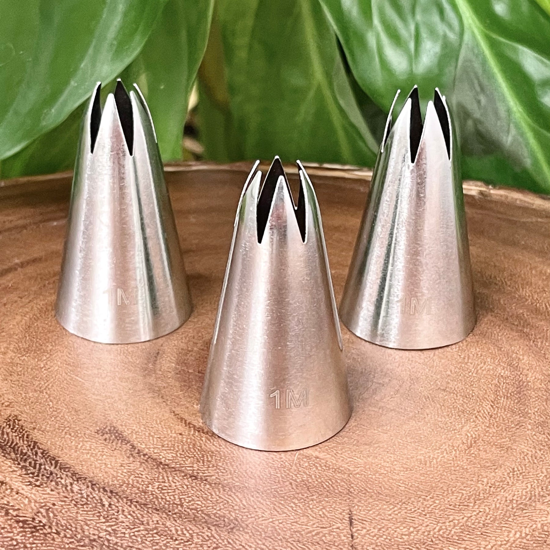 1M Rosette Tip