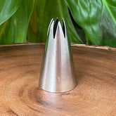 1M Rosette Tip