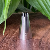 Small Shell Tip #21