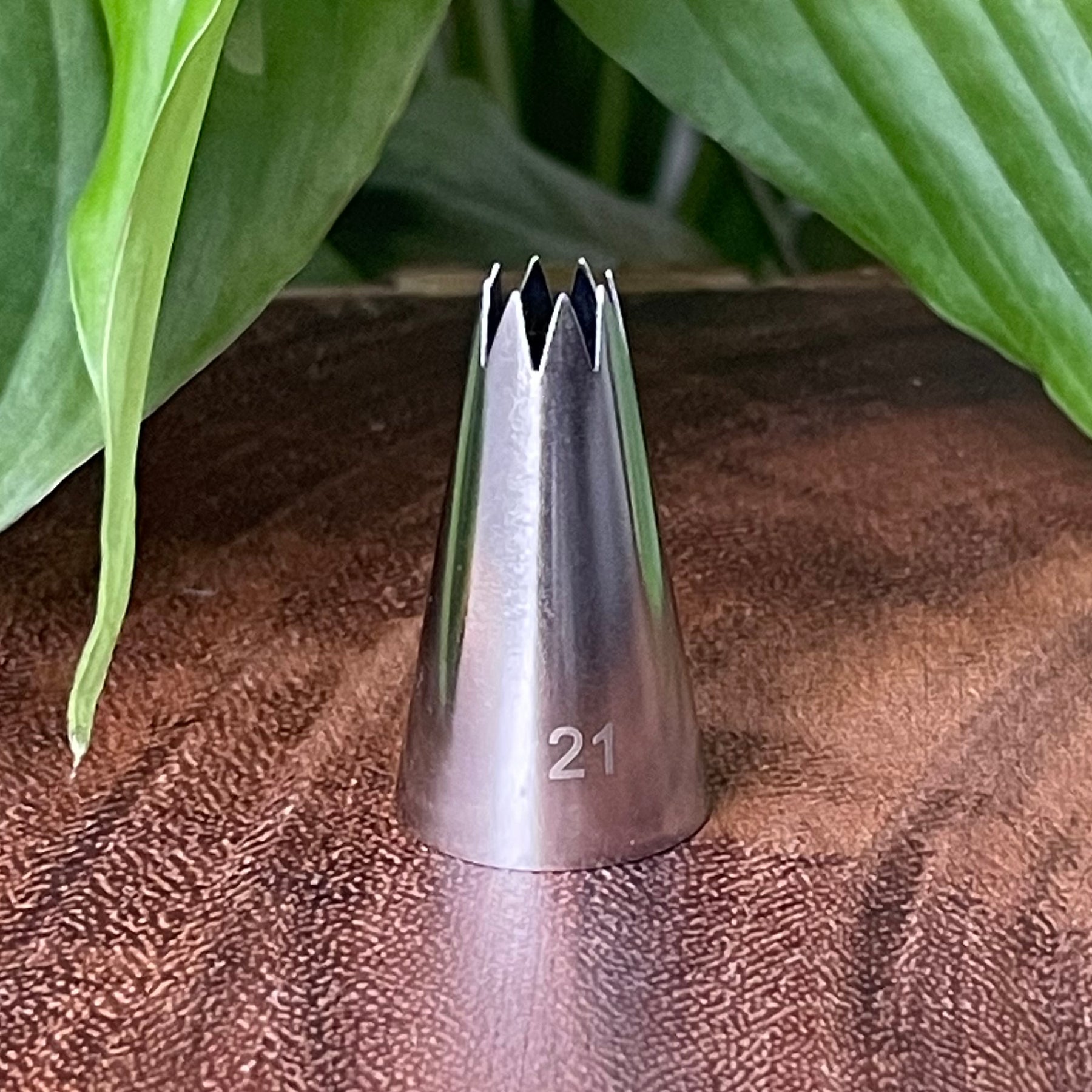 Small Shell Tip #21