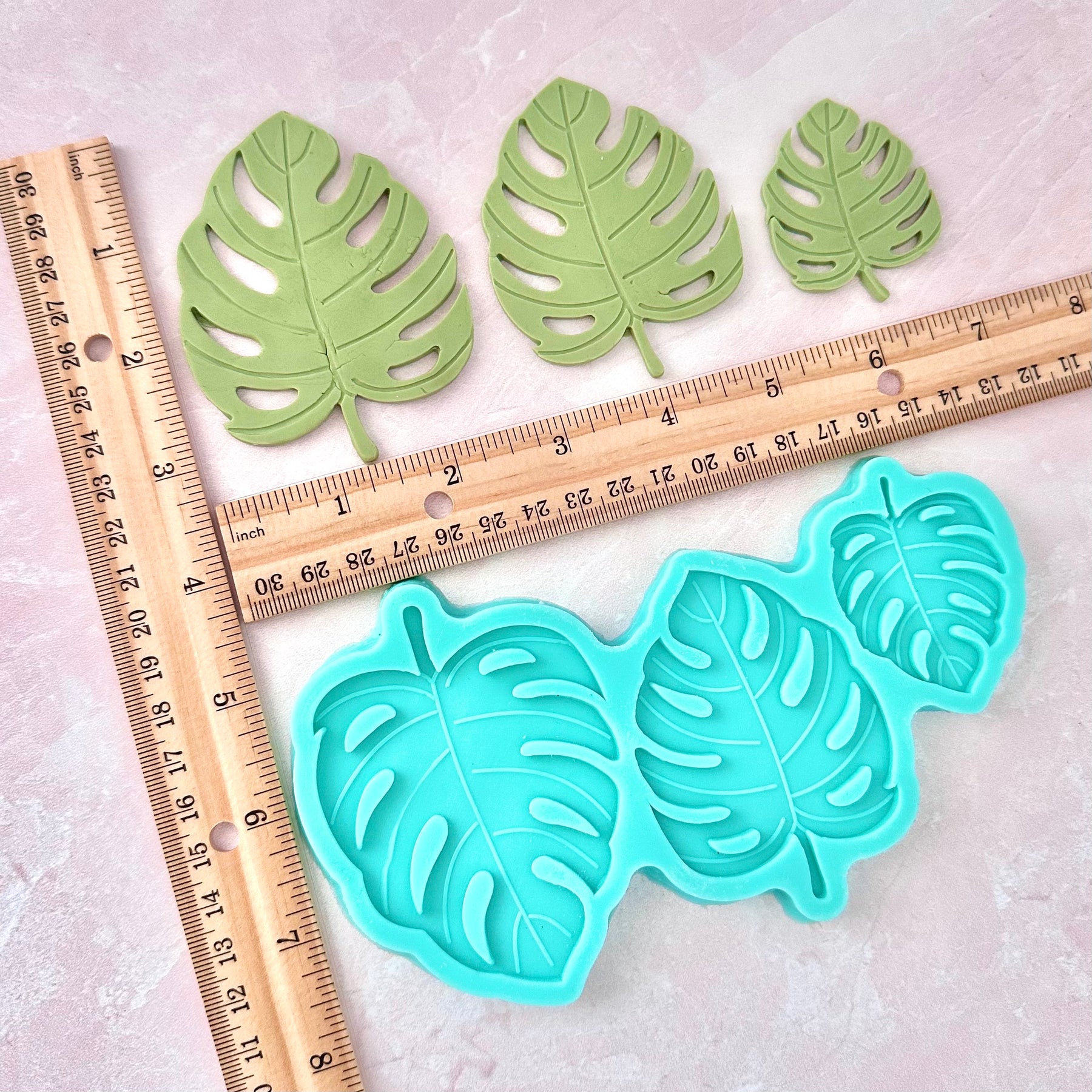 Tropical Palm Leaf Mold