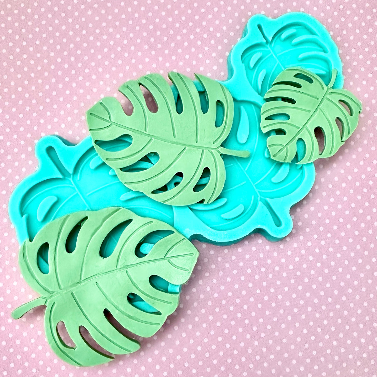 Tropical Palm Leaf Mold