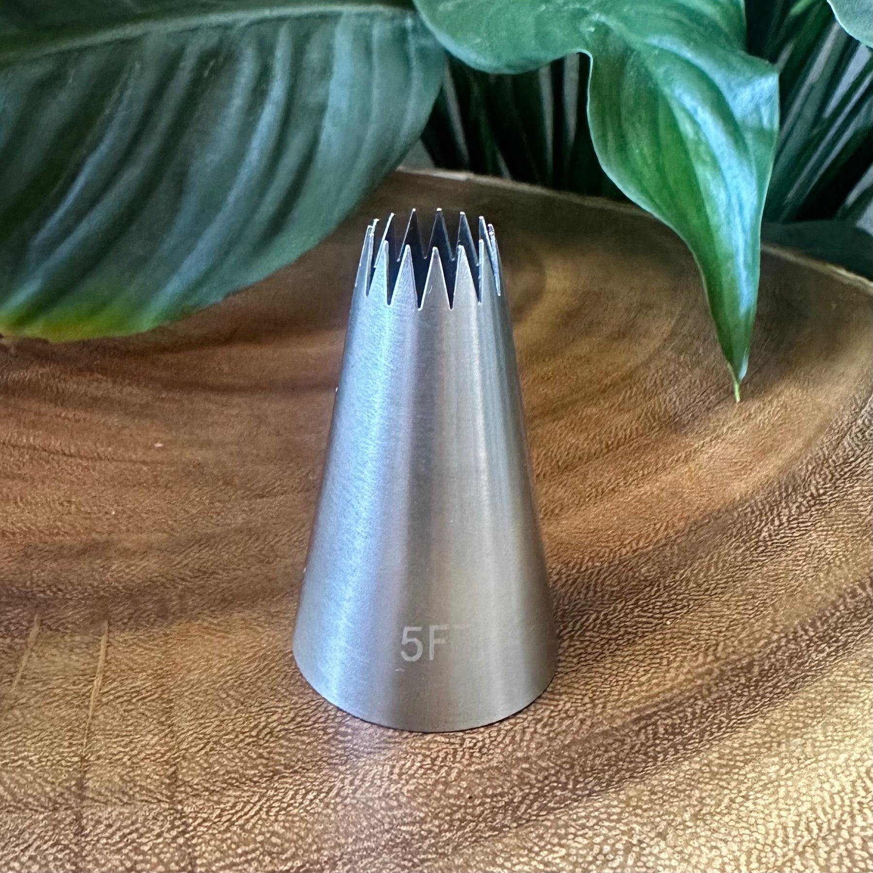 Jumbo Shell Tip #5FT