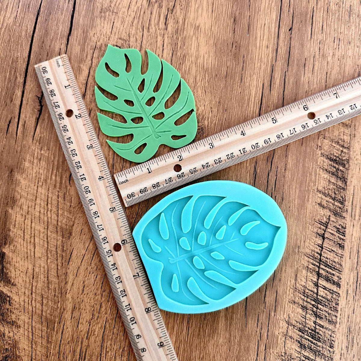 Large Tropical Palm Leaf Mold