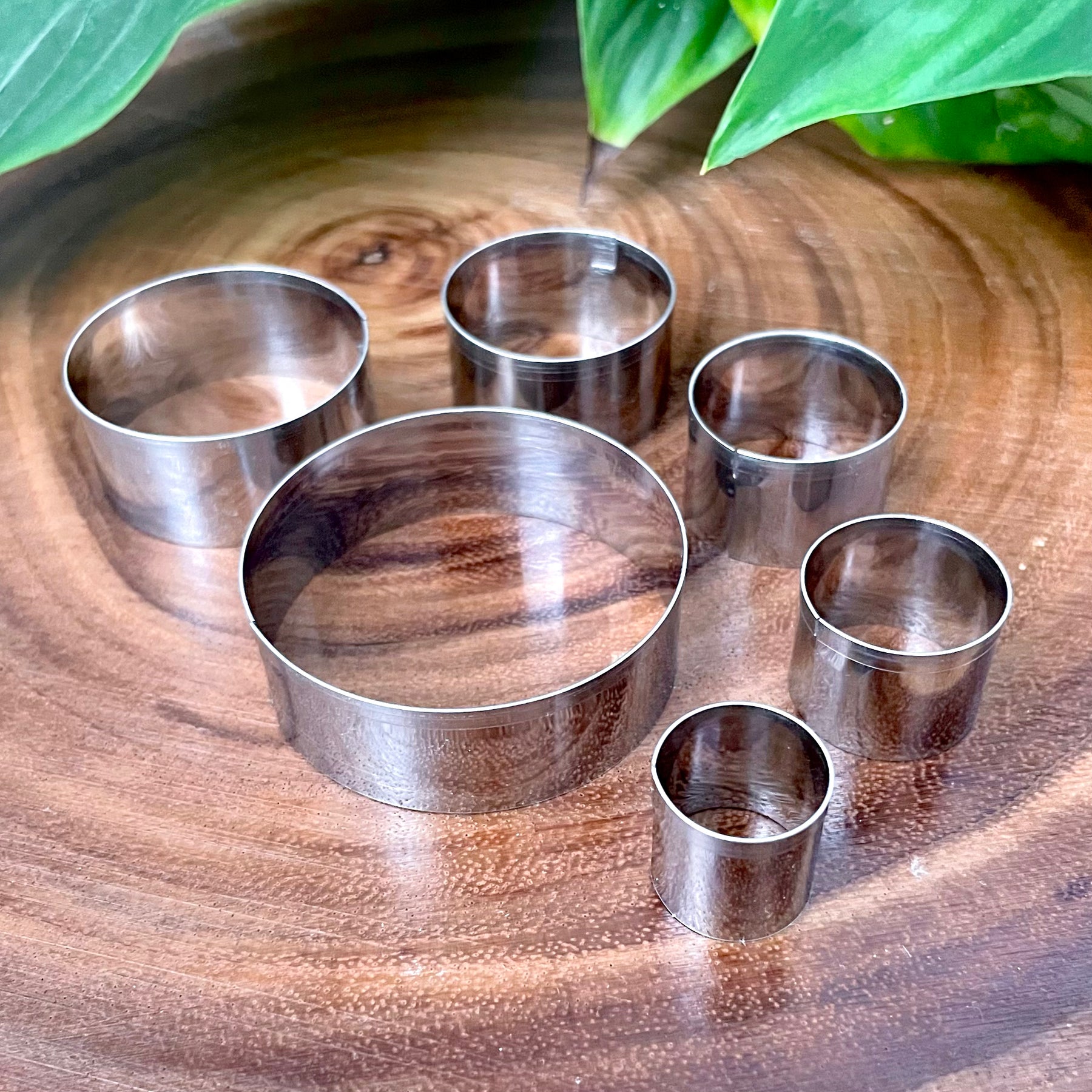 6PC Small Round Cutter Set with Storage Box